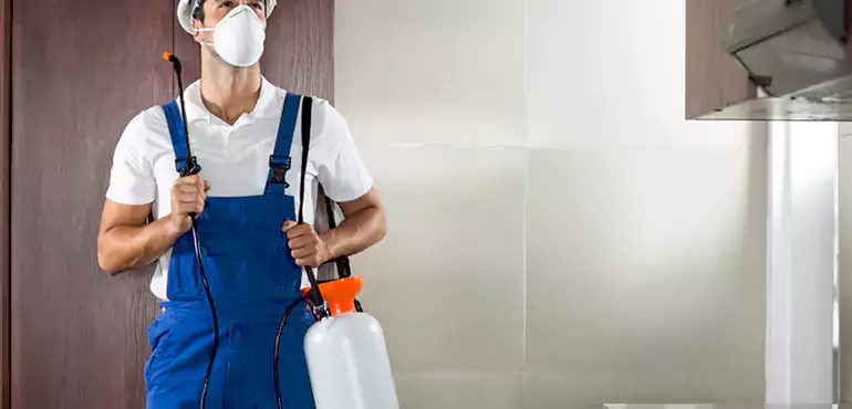 Why Elk Grove Homeowners Choose Us When Pests Make Selling Difficult