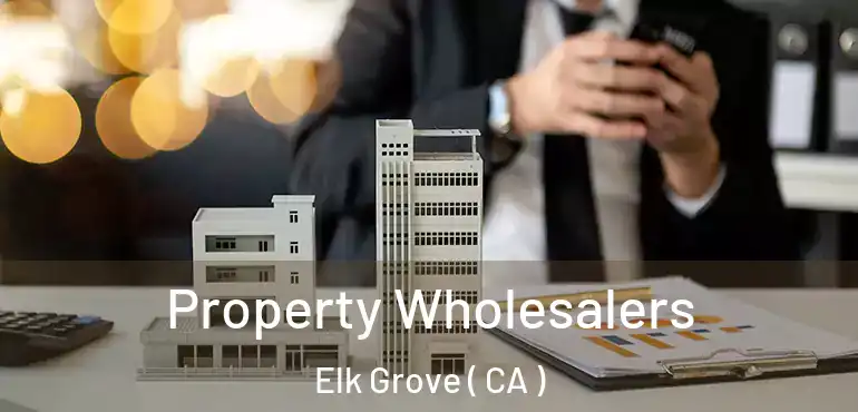  Property Wholesalers Elk Grove ( CA )