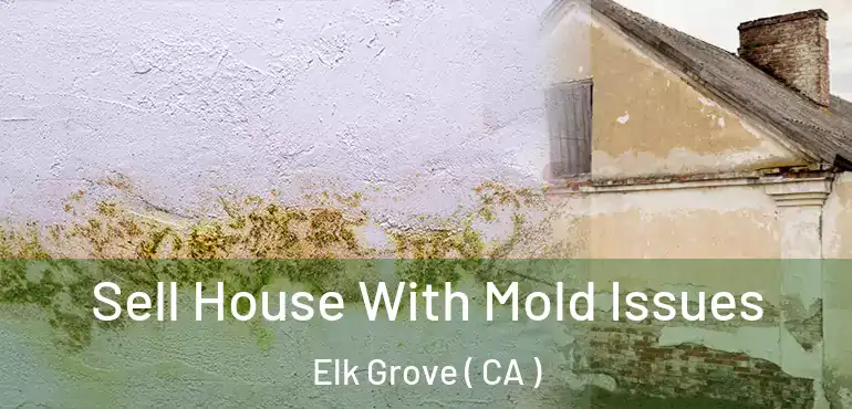  Sell House With Mold Issues Elk Grove ( CA )